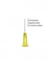 design-sem-nome-2025-07-21t190429534jpg